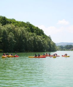 Groupe de personnes en kayak naviguant paisiblement sur le lac de la Gruyère, entourées de verdure luxuriante.